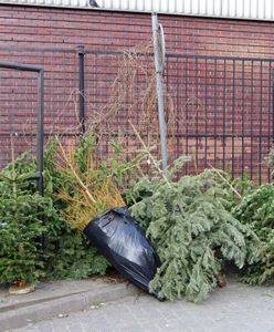 Choinkę wyrzuć do konkretnego pojemnika. Wiedziałeś o tym?