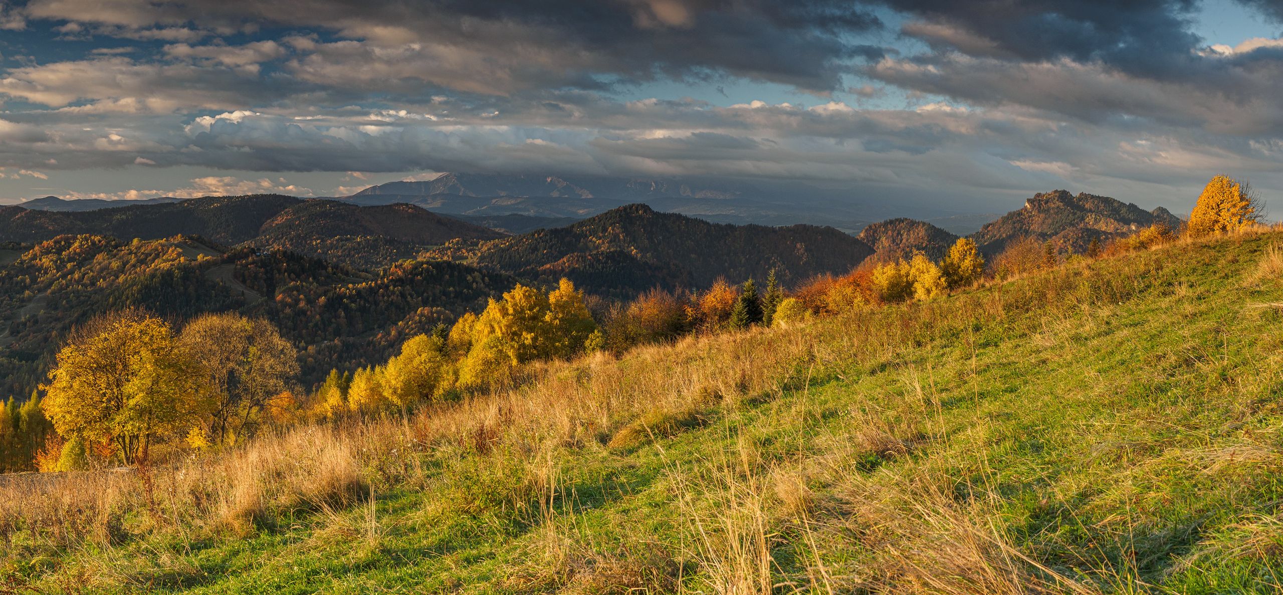 Piękno polskiej jesieni na zdjęciach naszych czytelników. W tym roku jest wyjątkowa! 20
