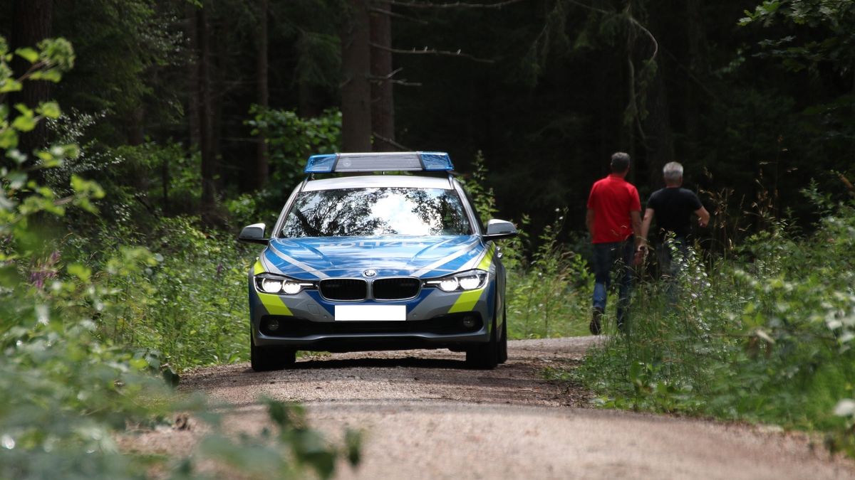 Czy to dzieło seryjnego zabójcy? Ciało 21-latki odnalezione w Mi