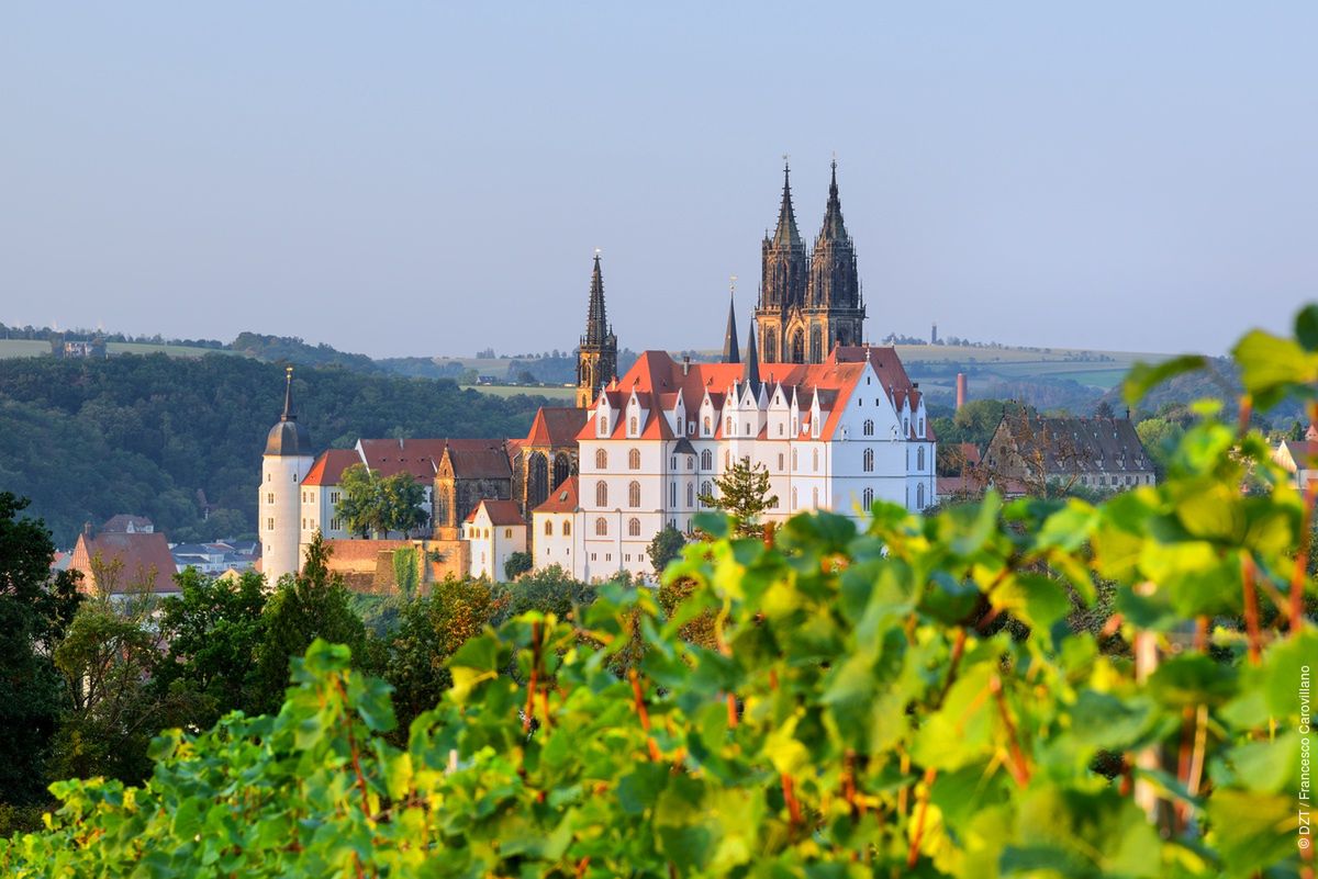 Widok na Miśnię z winnicy Proschwitz 