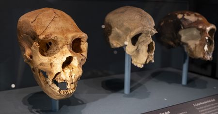 Gdzie żył i umarł ostatni neandertalczyk? Naukowcy wskazują