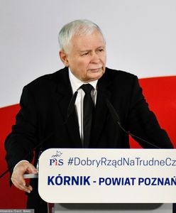 Powrót Kaczyńskiego. "To zostawia Morawieckiemu"