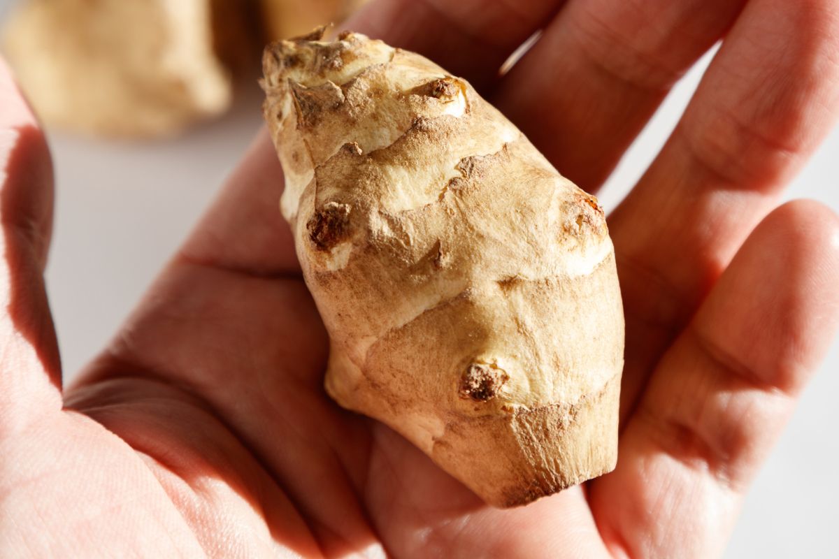 Is Jerusalem artichoke healthy?