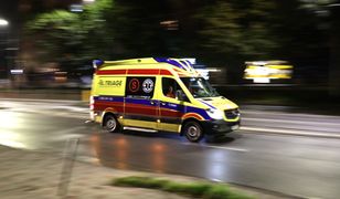 Interwencje w święta. Mężczyzna poturbowany przez byka