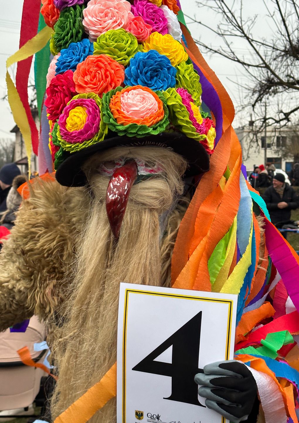 Każdy z brodaczy otrzymał numer startowy.