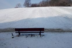 Warszawa. Tragiczny wypadek na Górce Szczęśliwickiej. "Uniemożliwimy jazdę na sankach w tym miejscu"