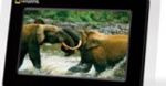 National Geographic też robi foto ramki