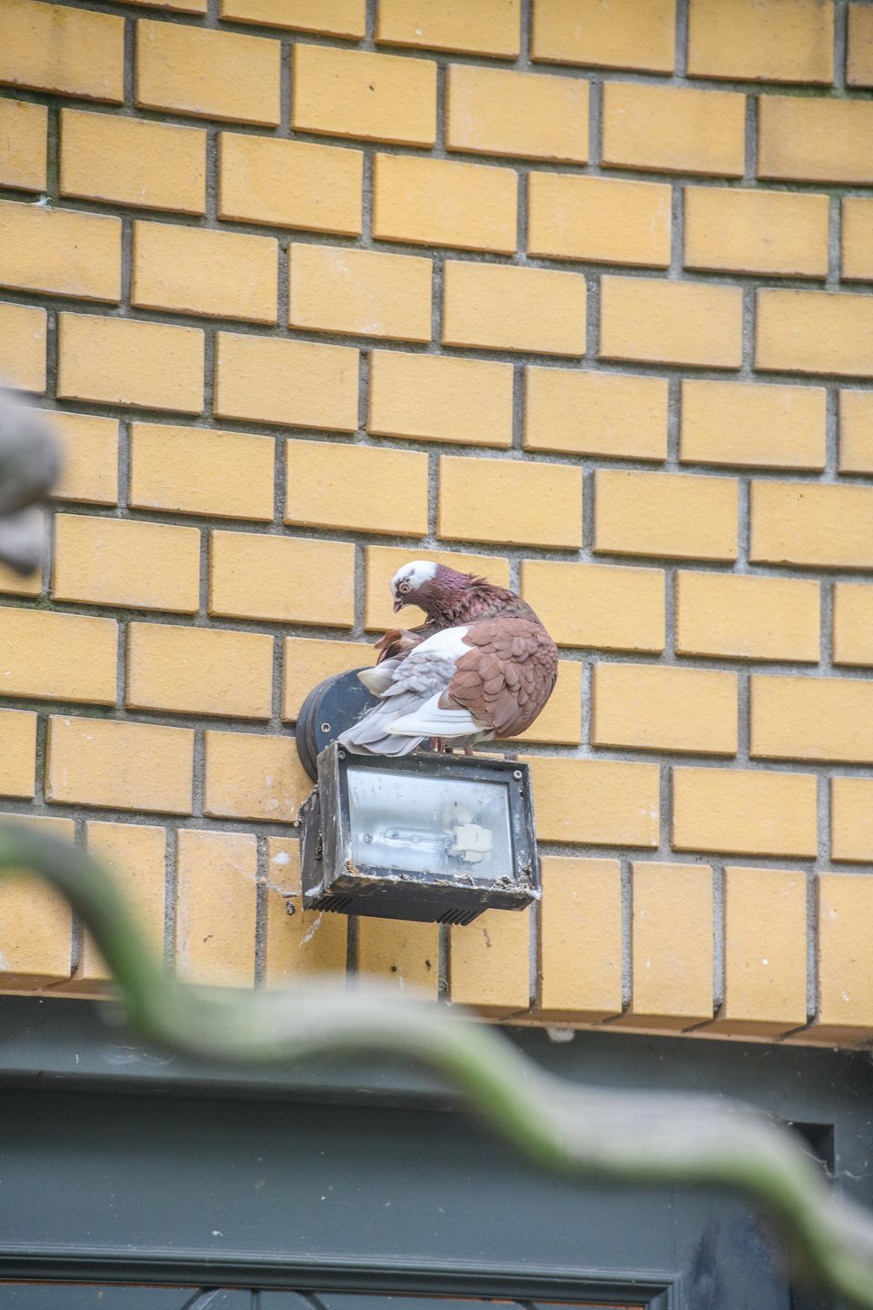 Czy Nikon D850 to rzeczywiście lustrzanka kompletna? Sprawdzamy w praktyce  [test + wideo] 122