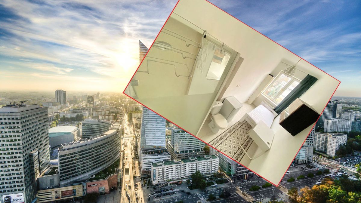 Patokawalerka na wynajem w Warszawie.