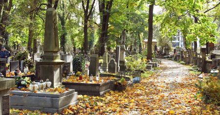 Długi na polskich cmentarzach. Zobacz, jakie są stawki za grób