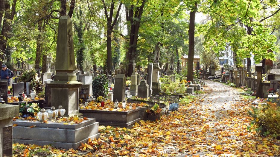 Długi na polskich cmentarzach. Zobacz, jakie są stawki za grób (zdjęcie ilustracyjne) 