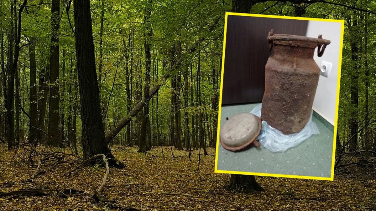 Tajemnicze znalezisko w lesie