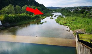 Spór o znikającą rzekę. Ekolodzy i wędkarze powstrzymali zrzut wody