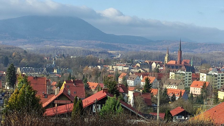 Niedźwiadki w Górach Wałbrzyskich