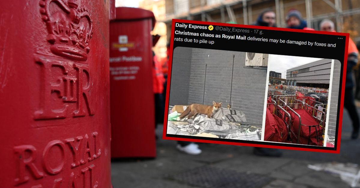 Świąteczny chaos. Lisy i szczury w centrum logistycznym poczty. Strajk pracowników