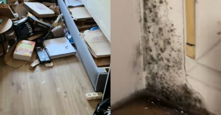 Tak zostawiła mieszkanie. "Właściciele prawie dostali zawału"