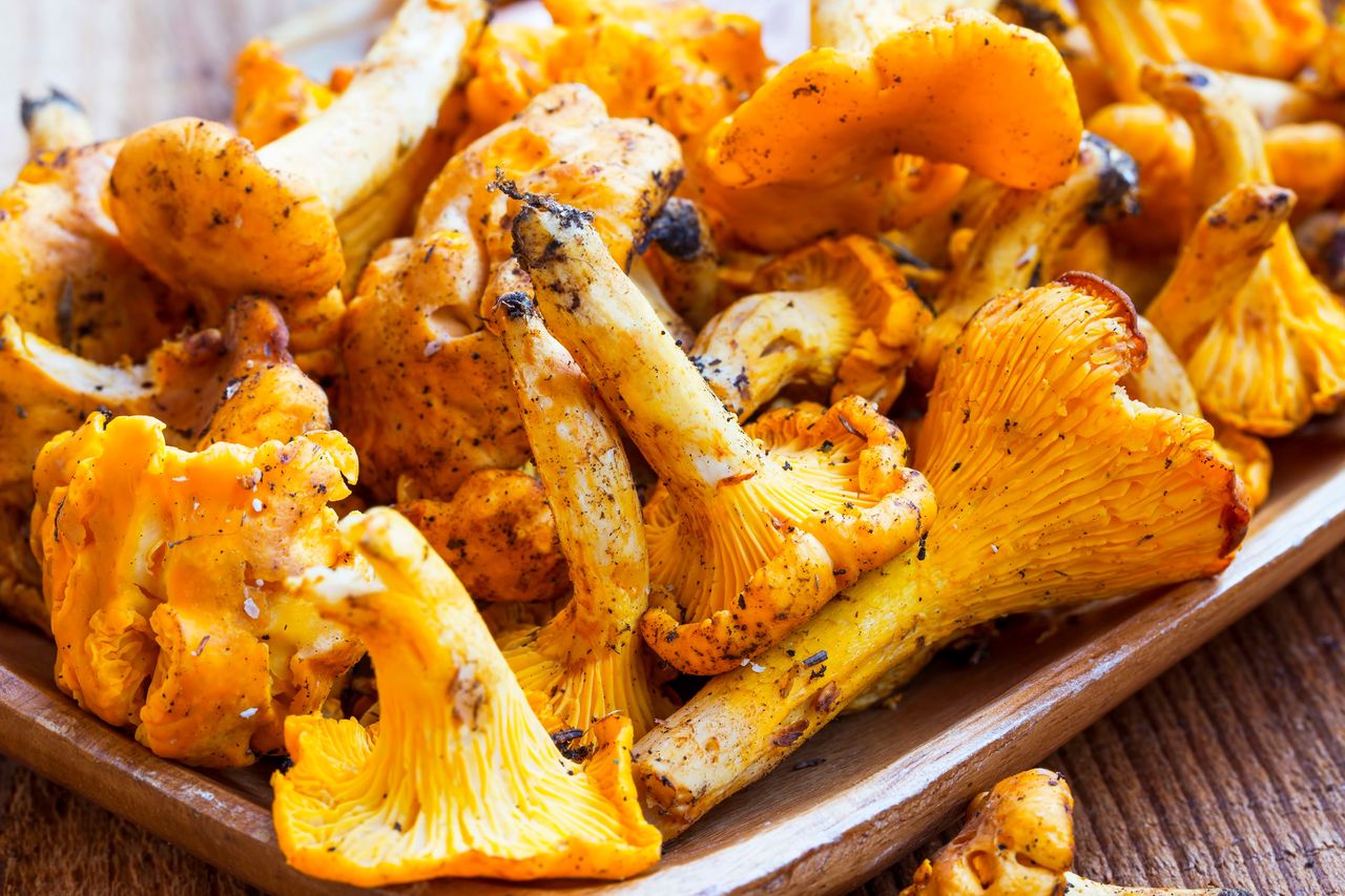 Delicious chanterelles in six ways