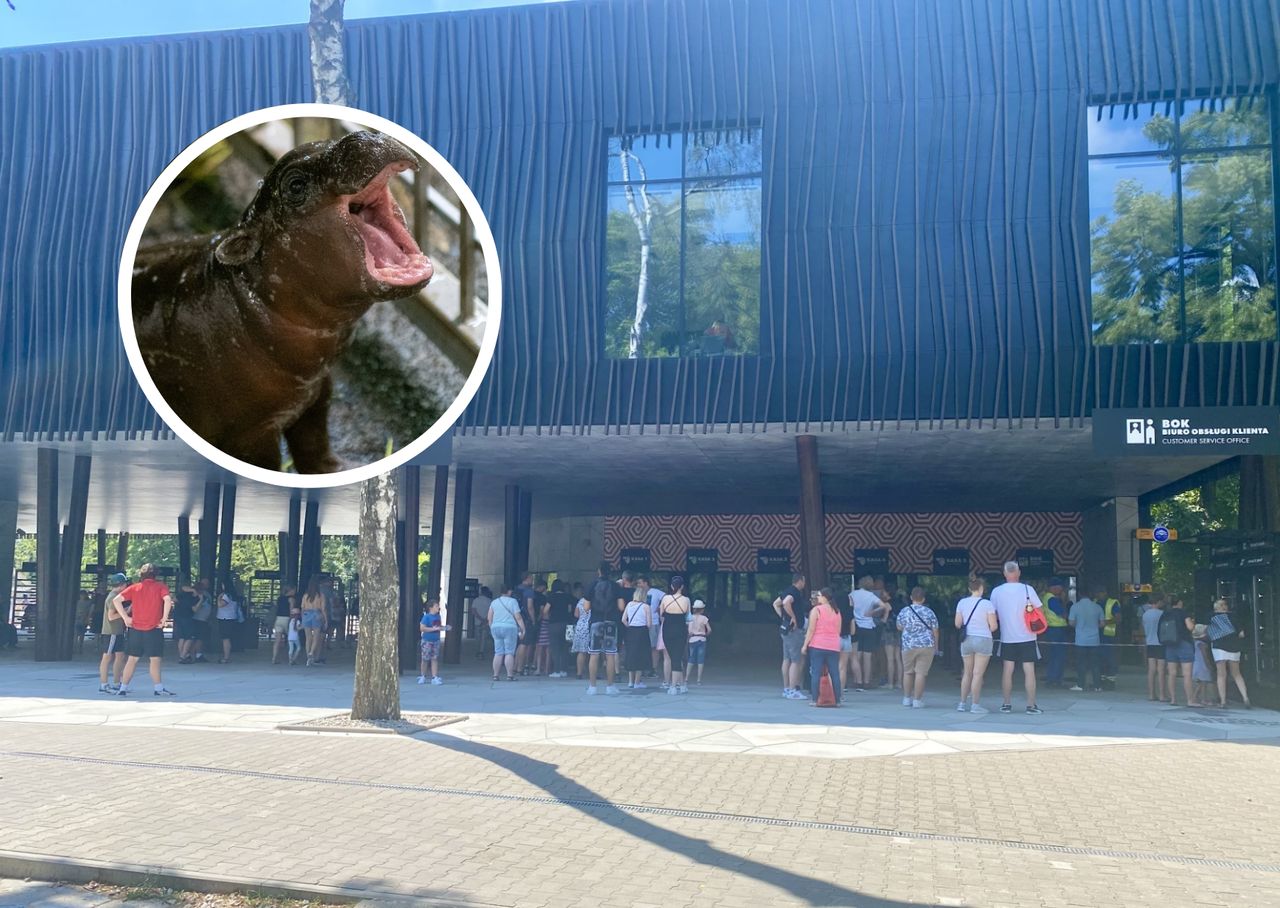 Sensacja w łódzkim zoo. "Pierwszy raz w historii"