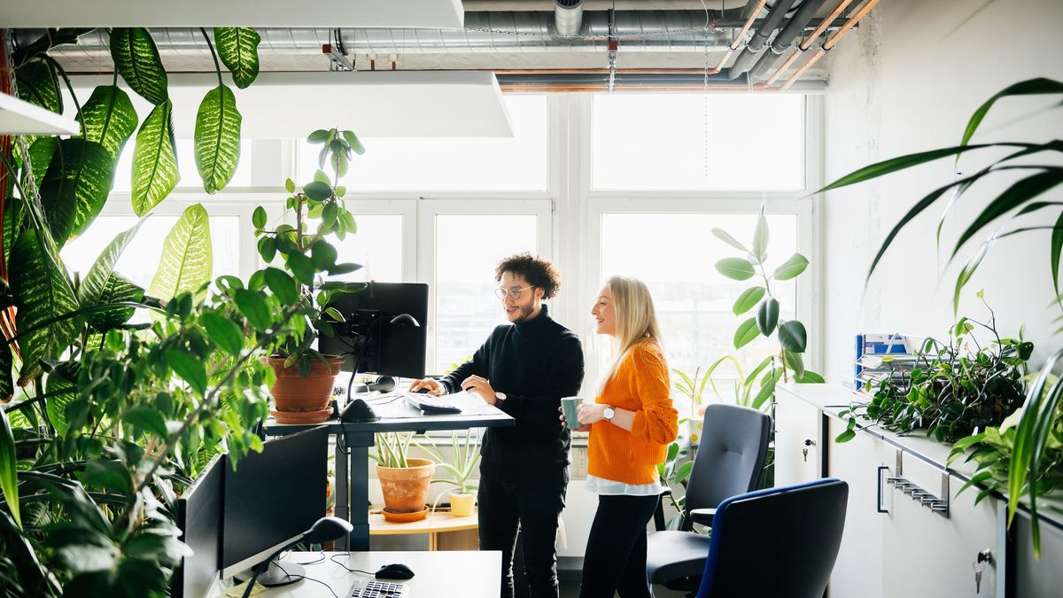 Polska firma Monday Group wprowadzi 4-dniowy tydzień pracy