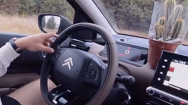 KAC czyli... Kaczor And Cactus 1