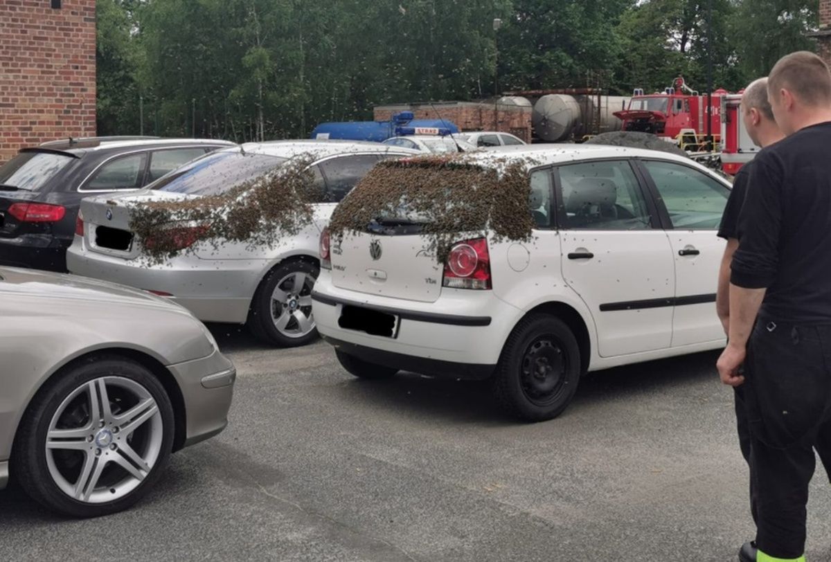 Strażacy z Kędzierzyna-Koźle nieźle się zdziwili. Pokazali zdjęcia z parkingu