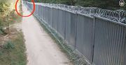 Szokujące nagranie z polsko-białoruskiej granicy. Migranci mają nową metodę?