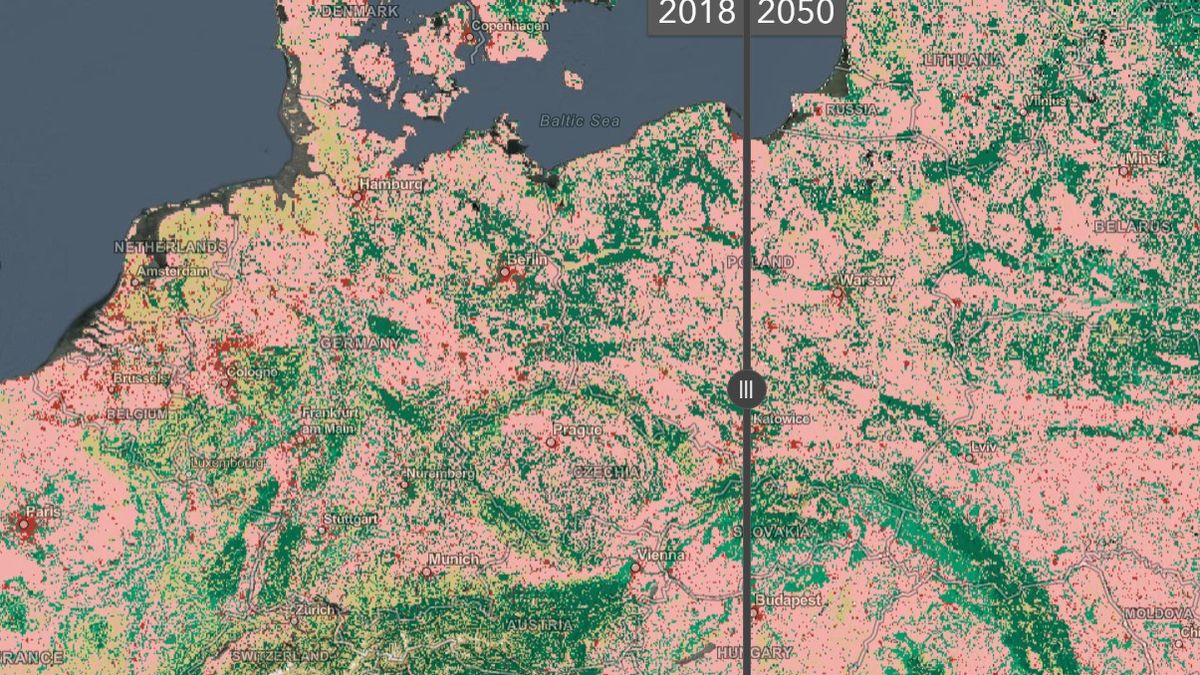 Interaktywna mapa świata