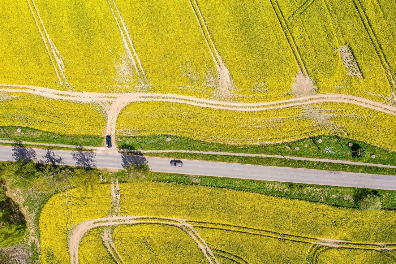 250 tys. zł za ha ziemi rolnej V i VI klasy. Gdyby było źle, grunty by tyle nie kosztowały