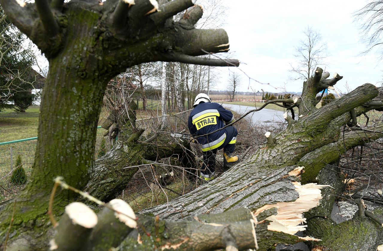 Wichura nad Polską. Połamane drzewa, zablokowane trasy