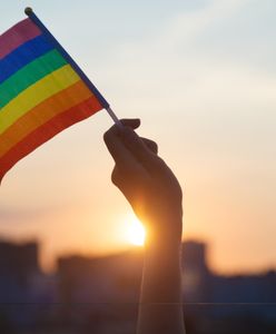 Tam osoby homoseksualne mogą czuć się bezpiecznie. Polska daleko w tyle