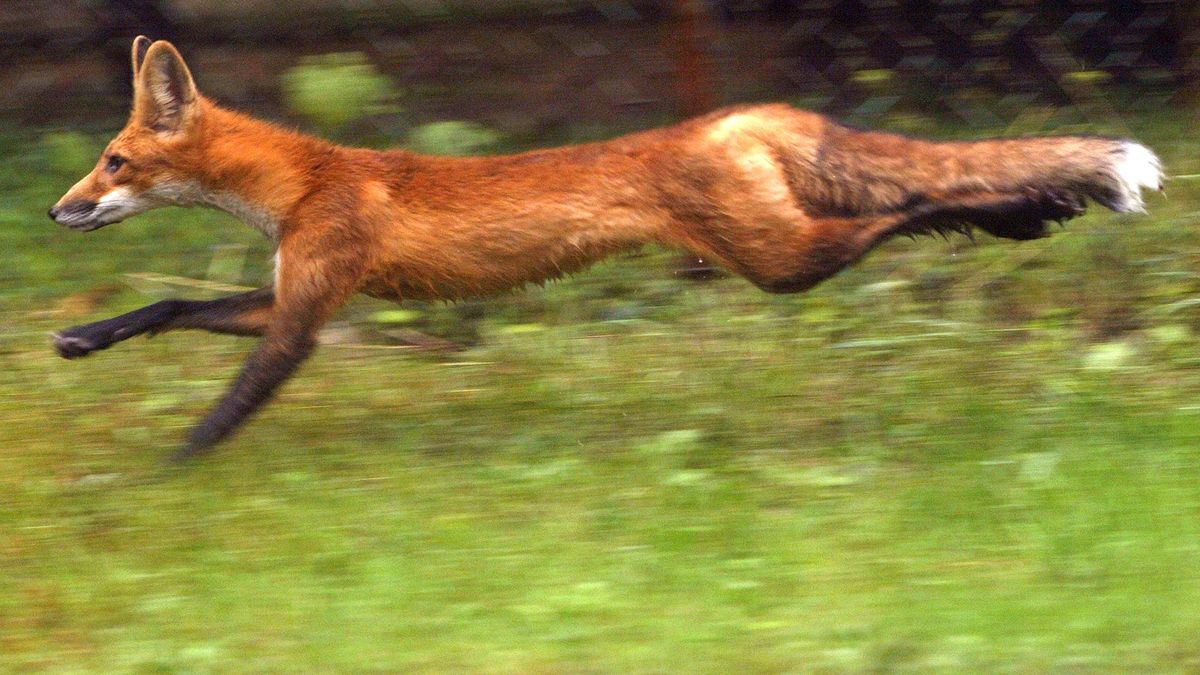 Unia Europejska wdraża nowy plan ochrony środowiska