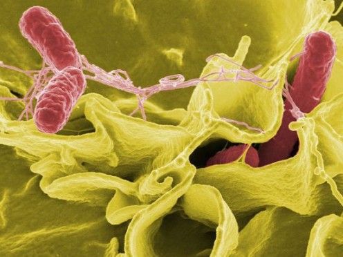 Stosowanie nanomateriałów ma drugie dno 2