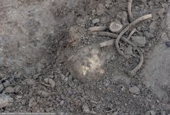 Najpierw trzewik. Teraz miecz. Kolejny historyczny artefakt pod Iławą