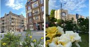 Wilda jakiej nie znacie. Poznań pokazują z dronów