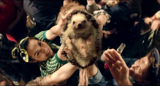 Czereśniowy Dziki Sad reklamowany rockowym spotem z jeżami