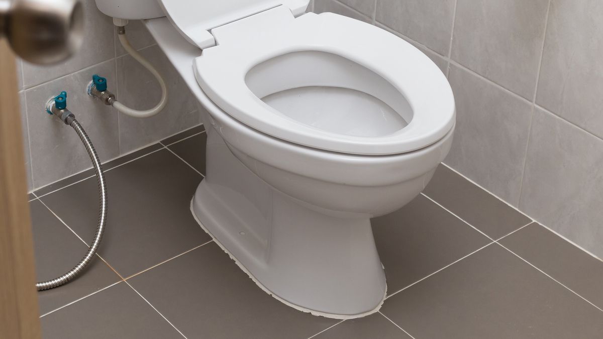 Szybki trik na odetkanie toalety