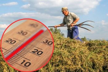 Afrykańskie upały w Polsce. Jak podczas prac rolnych chronić się przed słońcem?