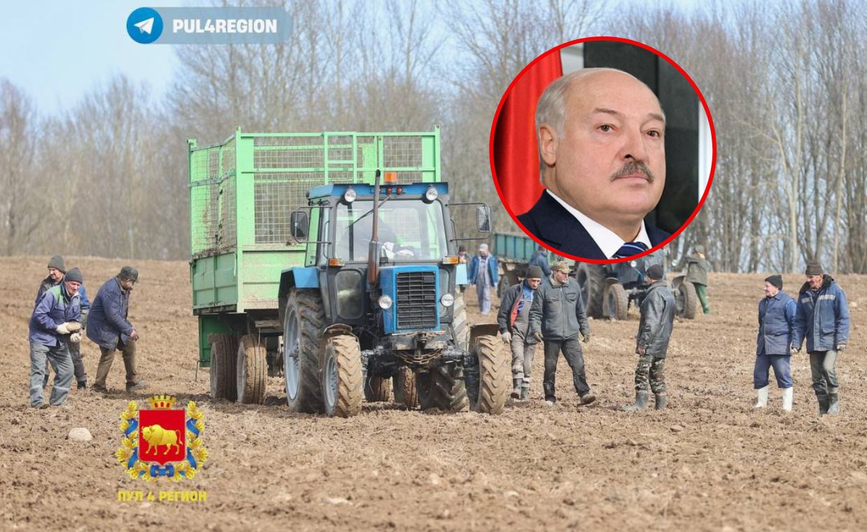 Lukashenko demanded quick actions.