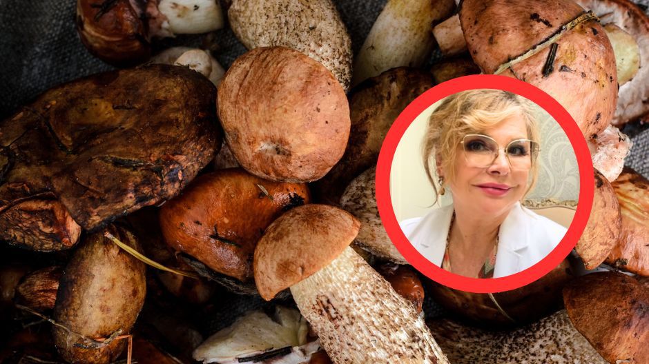 Grzyby mogą zapobiegać rozwojowi nowotworów. Przełomowe badanie polskich naukowców