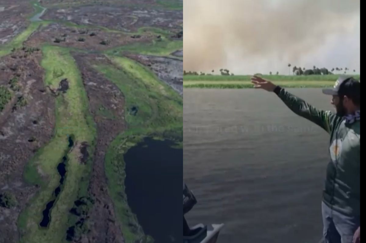 South America. Fires engulfing Pantanal Wetland threaten unique biodiversity