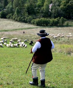 Największe problemy baców. Dla juhasa taka dniówka to już za mało