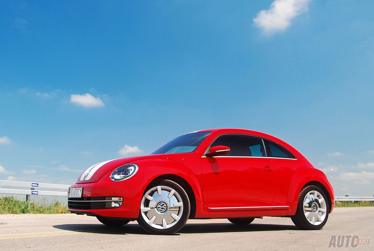 The Beetle