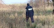 "Pierwszy przypadek". Poszedł na grzyby, znalazł ciało kobiety