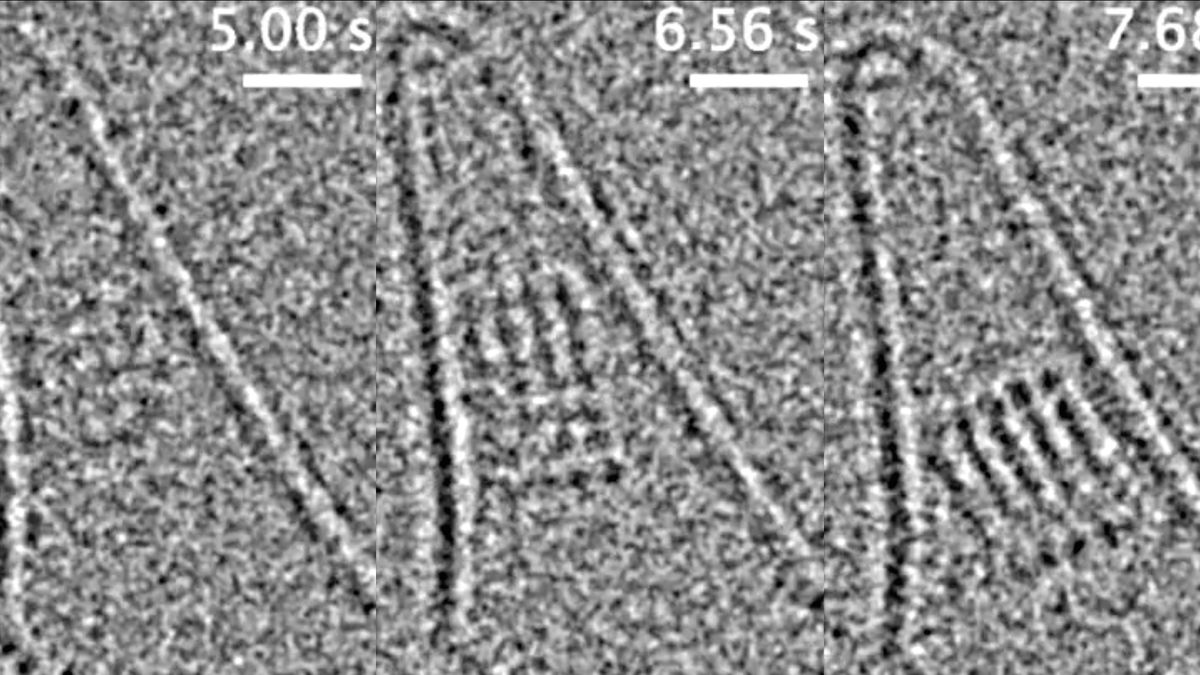 Pierwsze takie wideo w historii: kształtowanie się kryształów soli na poziomie molekularnym 1