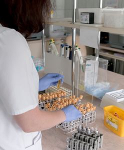 Gliwice. Nowe przeznaczenie alkoholu z przemytu