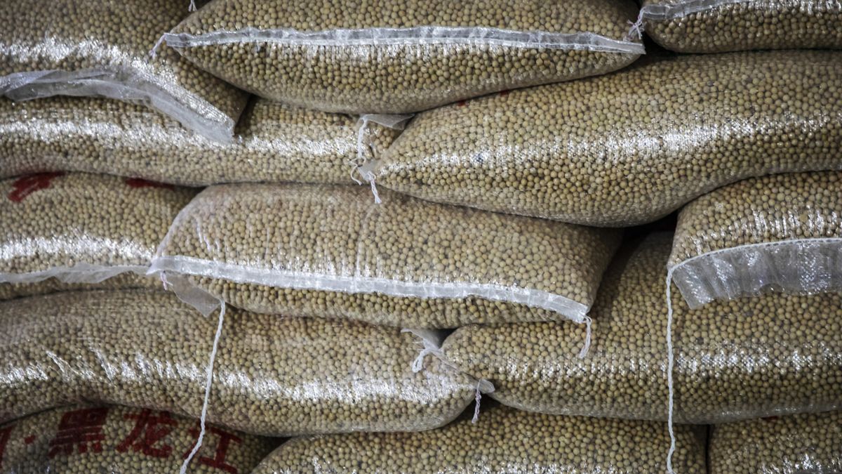 Trzy produkty zmniejszą ryzyko cukrzycy. Tak ochronisz się przed chorobą