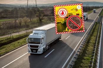 Zatrzymali 23 tys. kg ryżu z Pakistanu. Oto co wykryli