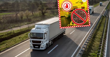 Zatrzymali 23 tys. kg ryżu z Pakistanu. Oto co wykryli