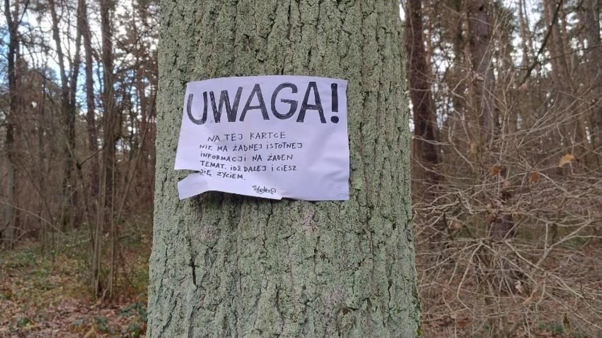 Karteczka na drzewie. Leśnicy pokazali zdjęcie.