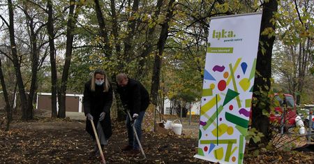 Śląskie. Metropolii sposób na suszę, łąki kwietne